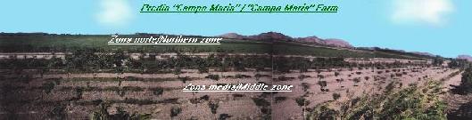 Zona norte y Zona media / Northern Zone & middle Zone